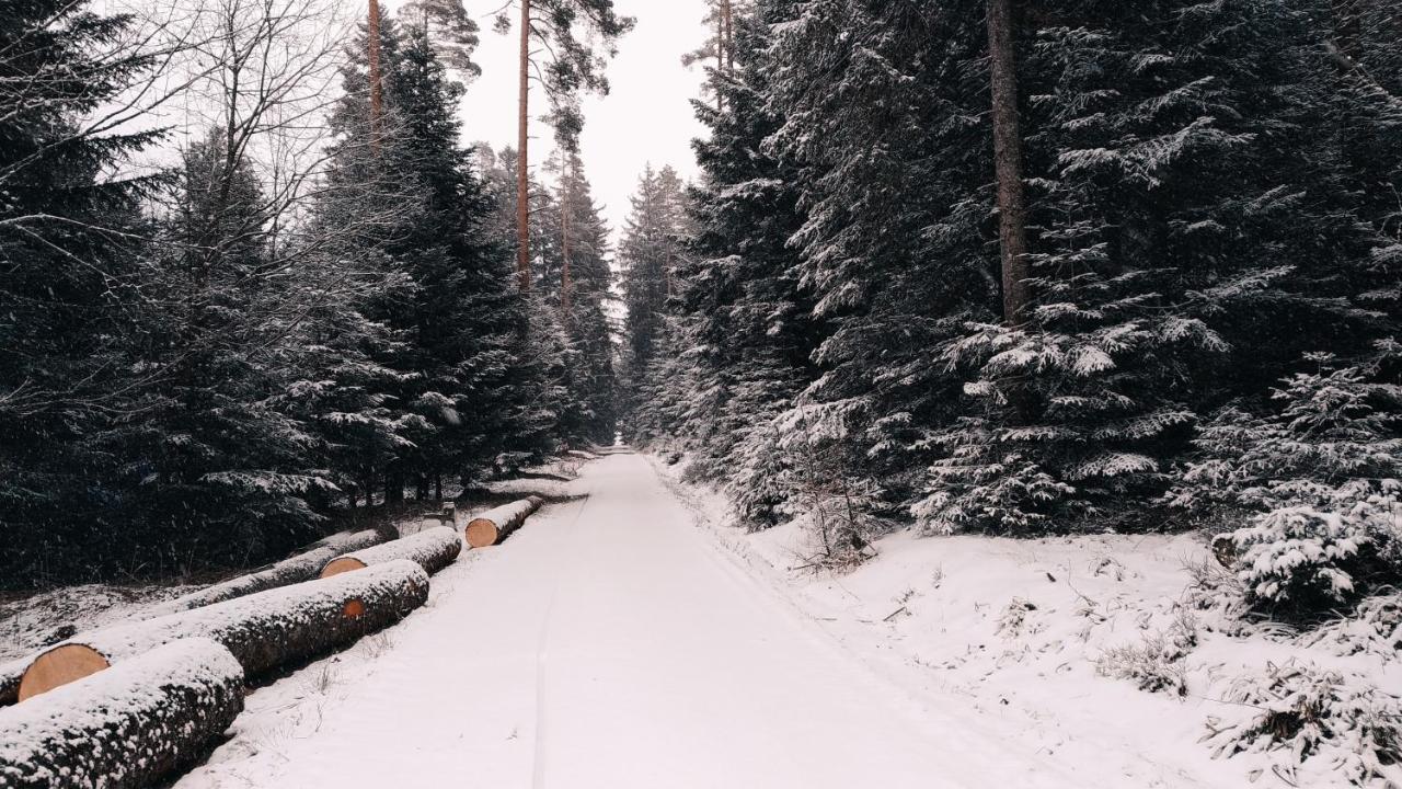 フロイデンシュタットWanderlust Panorama - Leben Im Nationalparkアパートメント エクステリア 写真