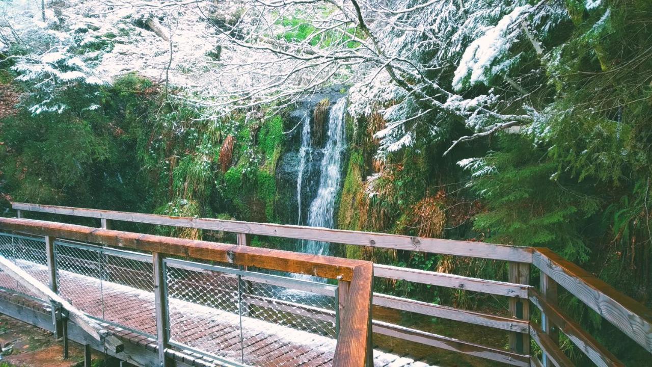 フロイデンシュタットWanderlust Panorama - Leben Im Nationalparkアパートメント エクステリア 写真