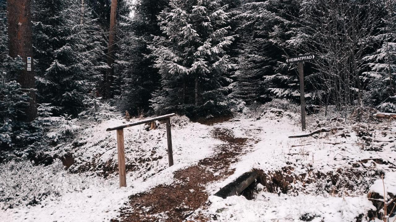 フロイデンシュタットWanderlust Panorama - Leben Im Nationalparkアパートメント エクステリア 写真